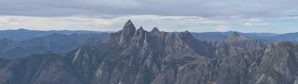 Colmillo del Diablo