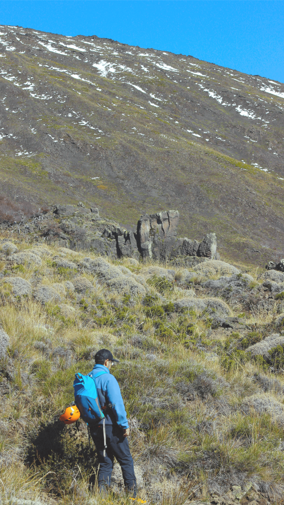 Bajo las Lavas del Lanín