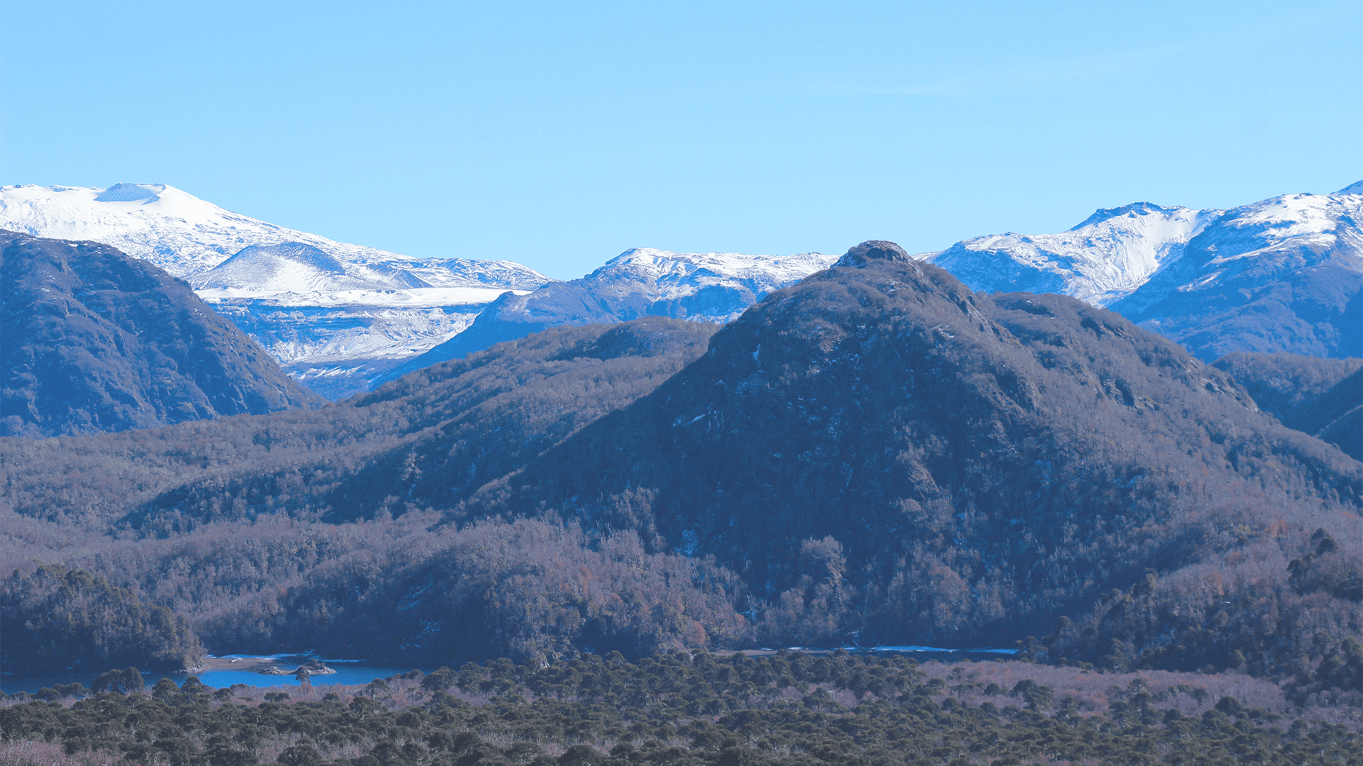Volcán Lanín