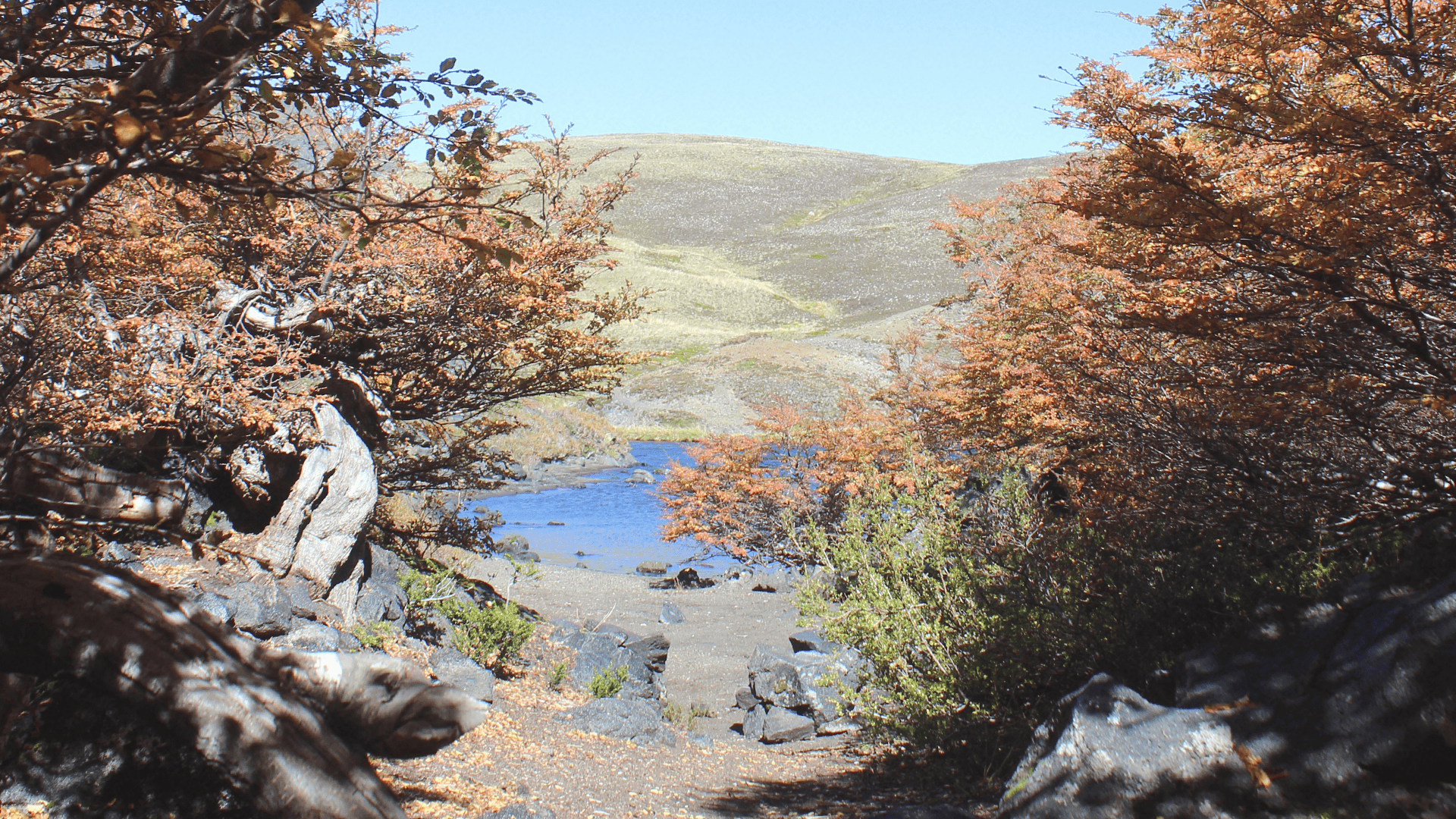 Registro visual de Campamento en los Faldeos del Volcán Quetrupillan