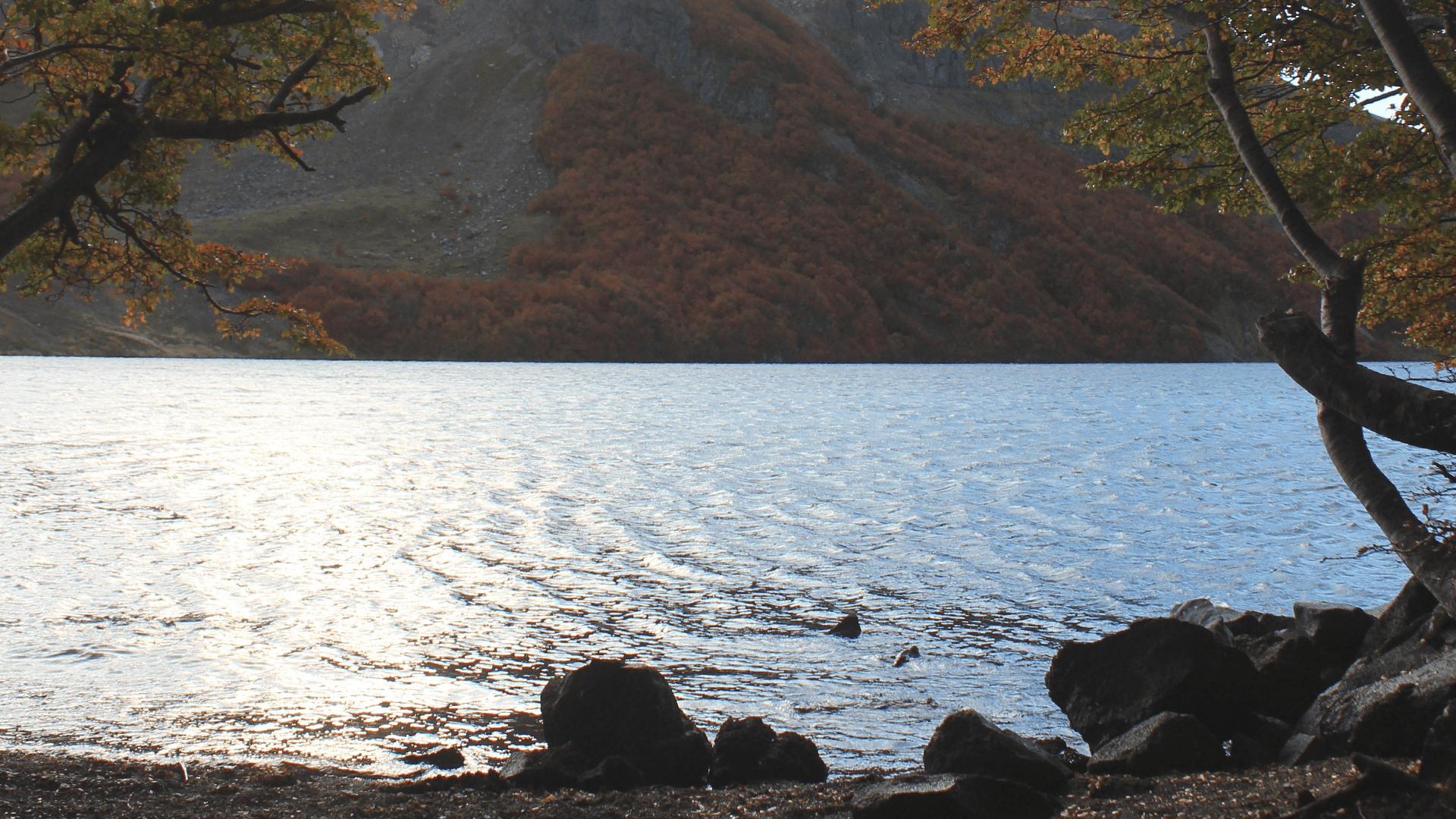 Registro visual de Campamento en los Faldeos del Volcán Quetrupillan